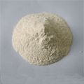 Rice Protein Concentrate